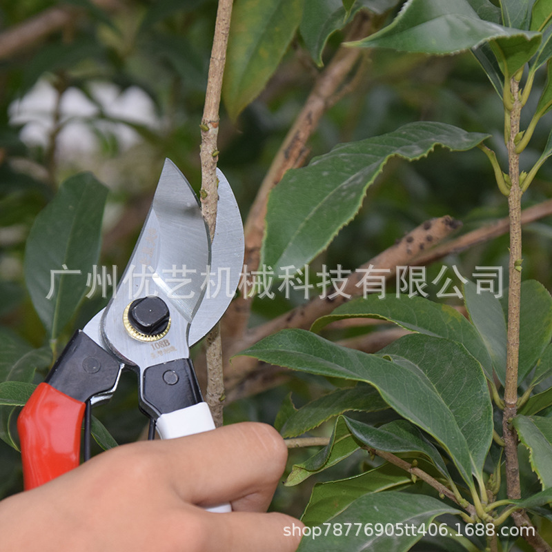 老农夫108A修枝剪果园果树剪108B型号优质材料粗枝剪园林园艺剪