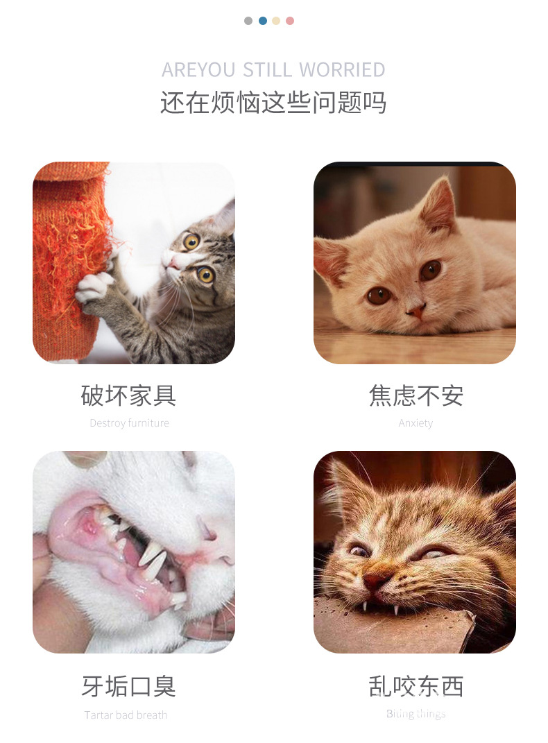 替换头_03.jpg