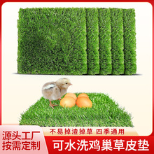 羳ChickenNestingPadsuCƺu|˹Ƥü|