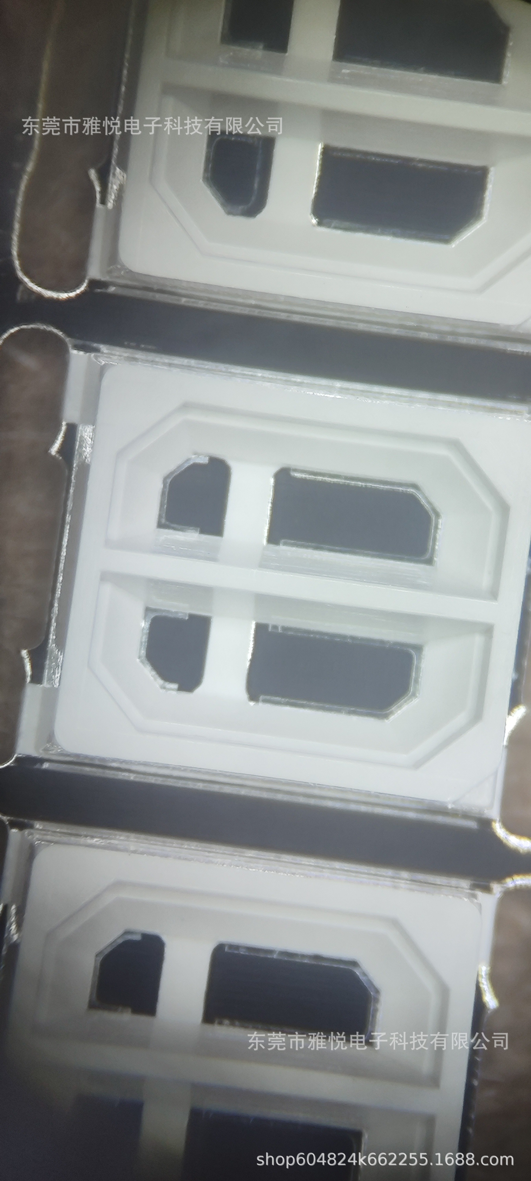 微信图片_20241104102441