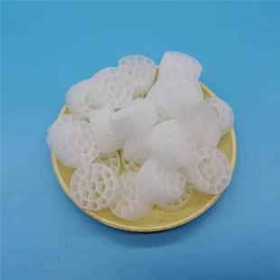 Mbbr (Fluidized Bed Filler) Black and White Two-Color Pp Material with Favorable Price