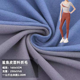 锦纶弹力双拉瑜伽服面料鲨鱼皮抓毛抓绒布料弹力拉架磨毛针织布料
