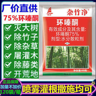 �s���75%�h�ͪ�w����������Ӡ������ᗗ��ľ�s���JȔ���݄�60g