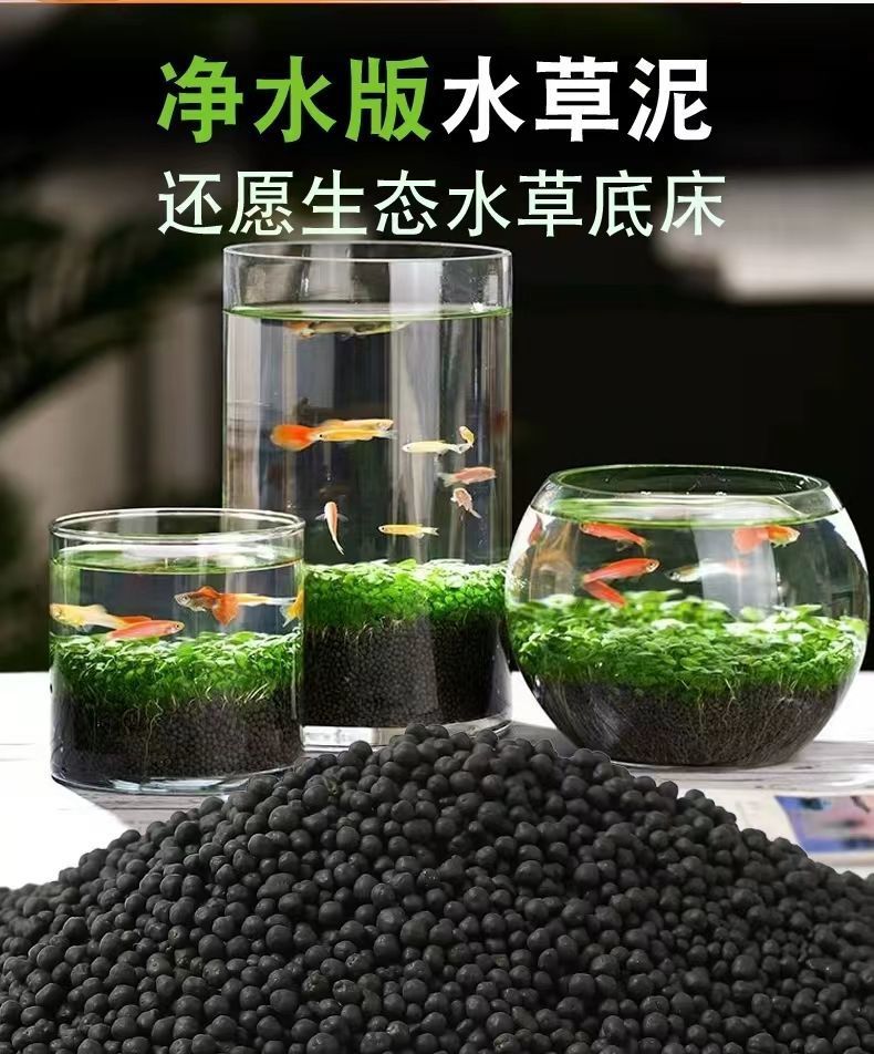 a7f50e6e-8341-44e6-9731-10a886a466fc.jpe