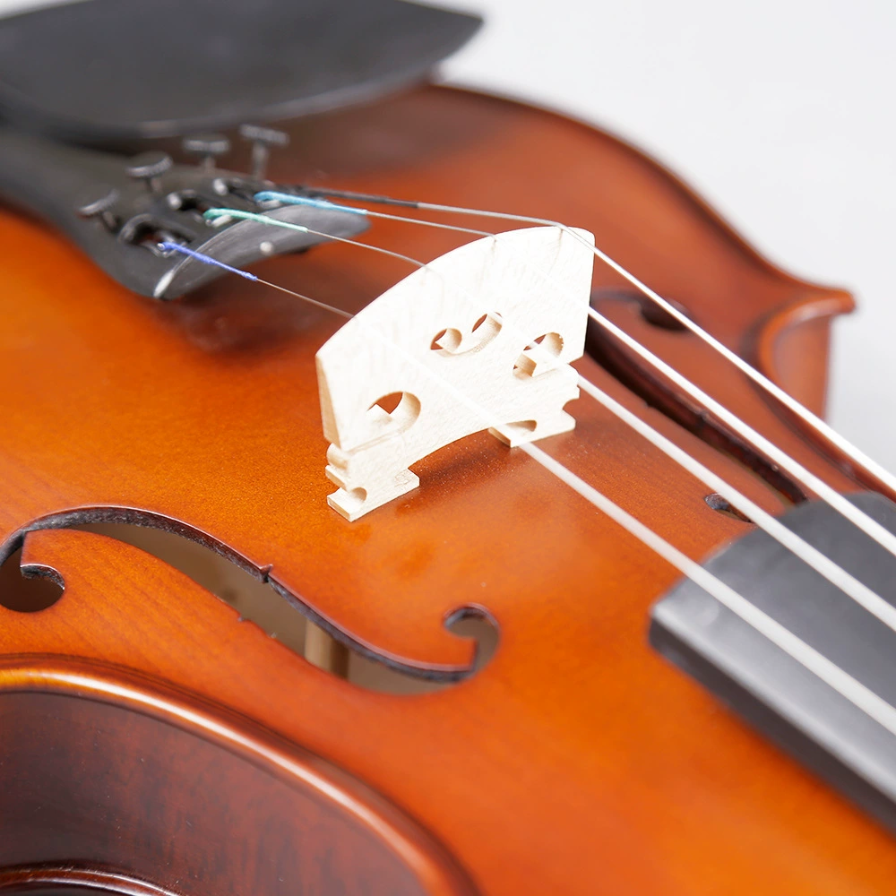 缪丝 Violin for beginners, practice from natural wood, DIY