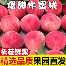 桃子水蜜桃10斤新鲜水果当季毛桃现摘水果应季脆甜整箱非油桃跨境