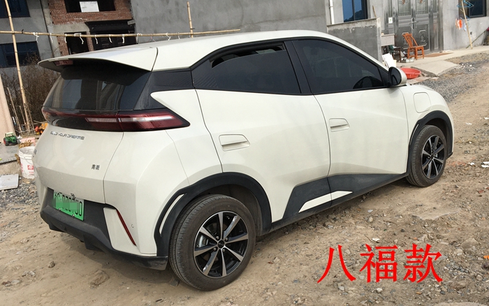 Suitable for Byd Su Rui Qin Dolphin Modified Seagull Hub Wheels