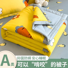 空调被双人夏凉被单人水洗棉薄被子夏季学生宿舍春秋被薄夏被批发