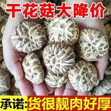 ��؛����󻨹�С����500�˰��]�ľ��Ģ��������С���x