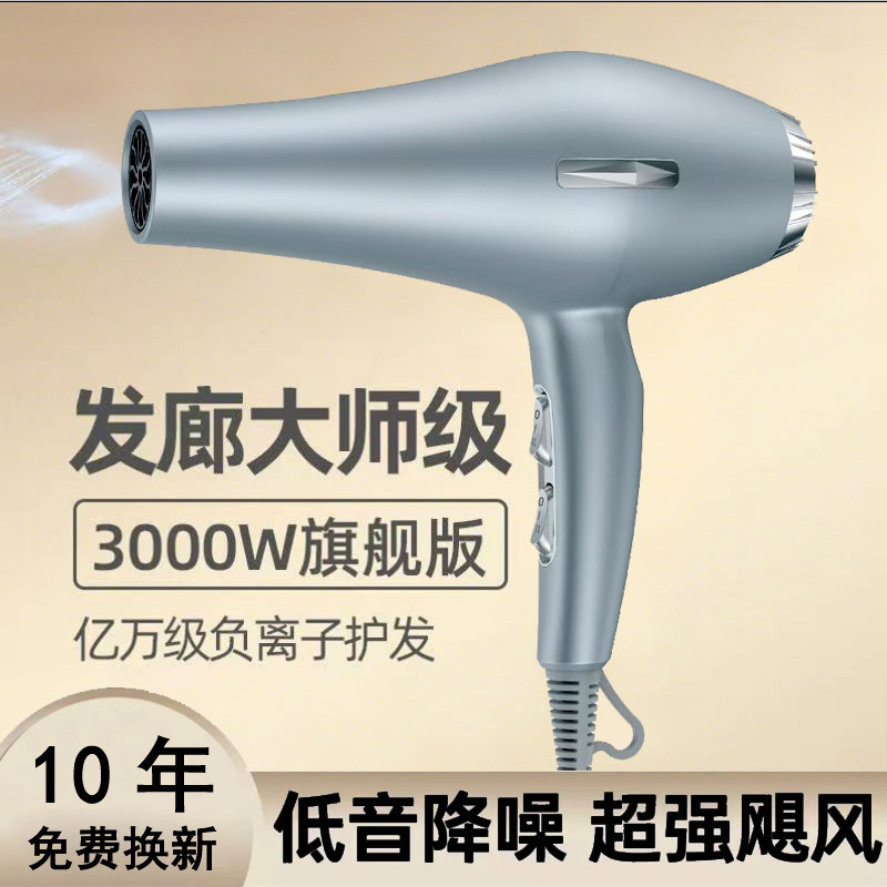 Hair Salon Special Hair Dryer for Blowing Hair, High Wind, Home Barber Shop, High Power Negative Ion Hair Care, Quick Drying and Mute