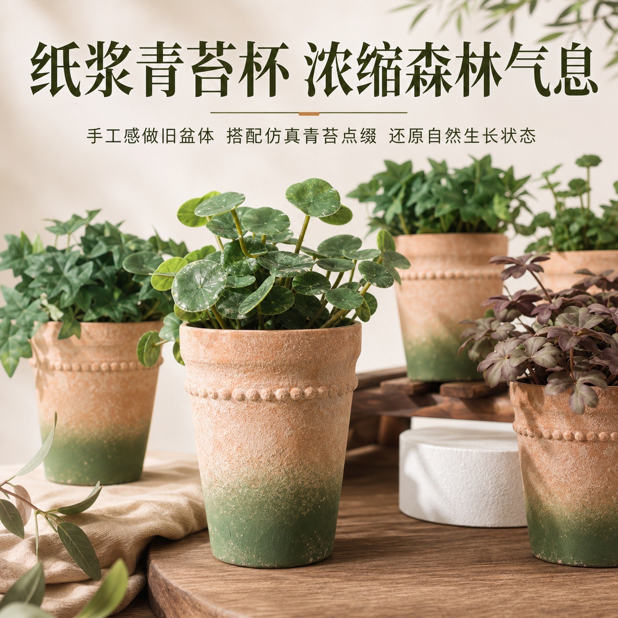 1114青苔杯详情页 (5).jpg