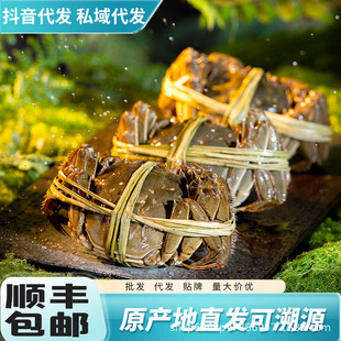 �K���r���з���l���l���ϴ������м��˹��Sֱ�l����r���ۺ�o�n