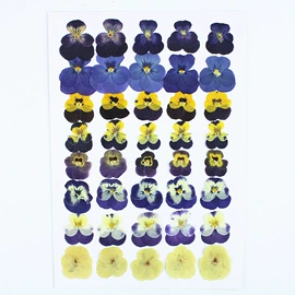 干花;鲜花花艺制品