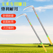 �r������砵����P䓸���ո����חU�ն����Ñ����r�߳����r��砵�