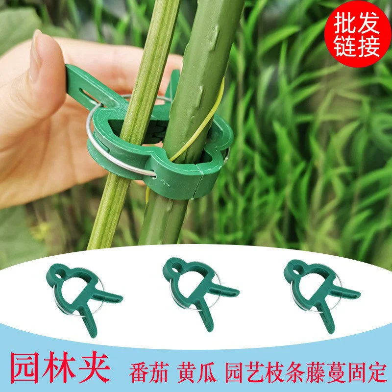 Зажим для садоводства растений цветок фиксированный зажим для сада растений костюм/садовый зажим/пластиковый зажим для растений помидор