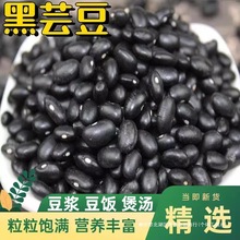 东北黑芸豆新货农家自产黑饭豆白心黑豆黑眉豆黑小豆熬粥5斤包邮