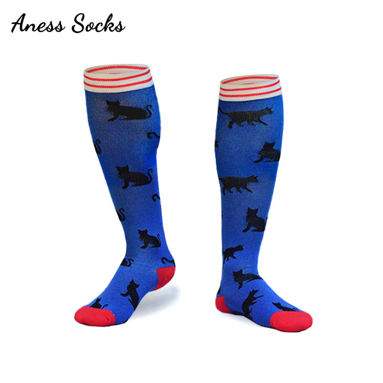 파란색 배경에 검은 고양이