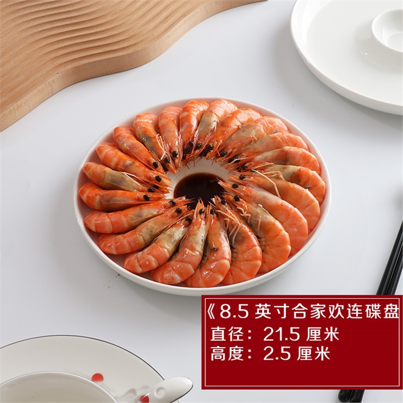 "8.5 인치 패밀리 펀 디스크"