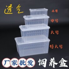 爬宠饲养爬台饲养箱透明透气爬台蚕宝宝饲养箱爬虫饲养盒活物打包