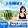 云南新鲜麒麟水果