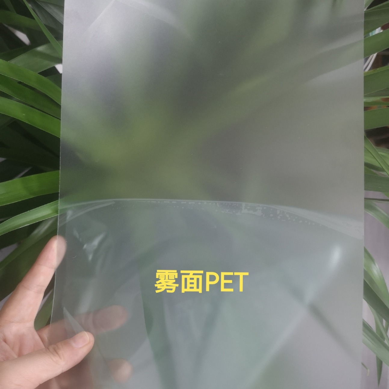 箱包内衬磨砂PET薄膜加工防眩半透明PET片哑雾面卷材0.188mm基材