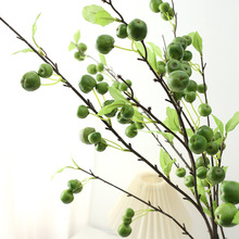 ����ˮ����֦��ۙ�������ʯ�������������b�Ͱ���主�F���ٻ�