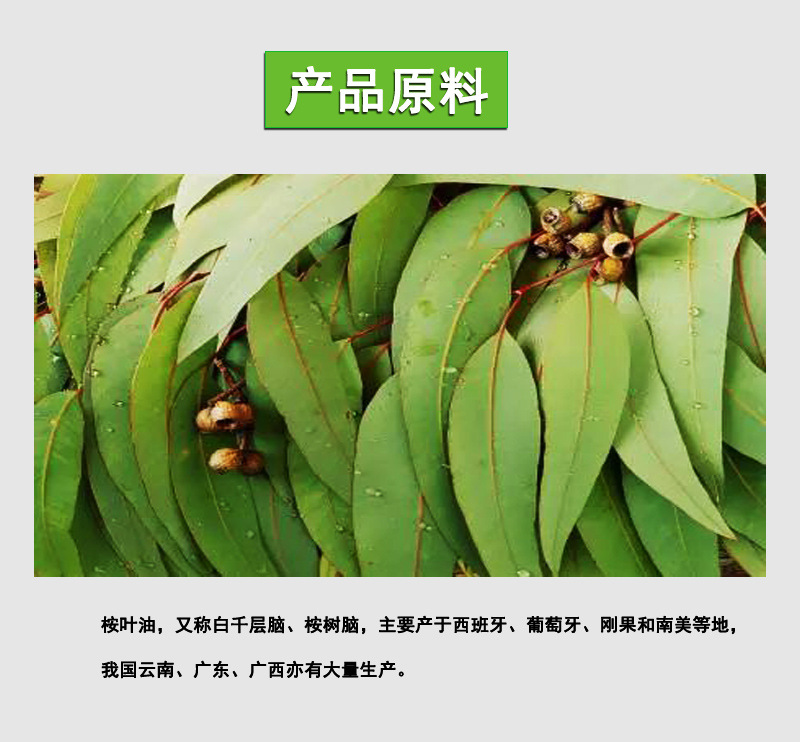 现货供应 桉叶油 桉树油 尤加利纯精油 桉叶素桉树精油 品质保障-阿里巴巴