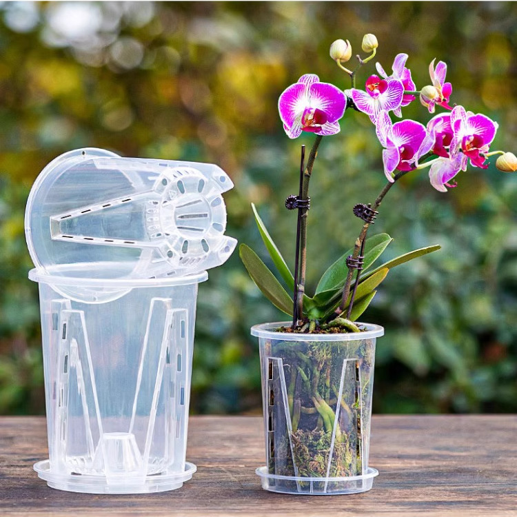 新しいミズゴケ胡蝶蘭ポット青山根制御ポットプラスチック肥厚大型蘭ポット中空透明植木鉢卸売|undefined