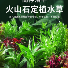 �~��ˮֲ����ˮ��Gֲ��ɽʯ�B�~�쾰�~�����G�ո�Ƽ