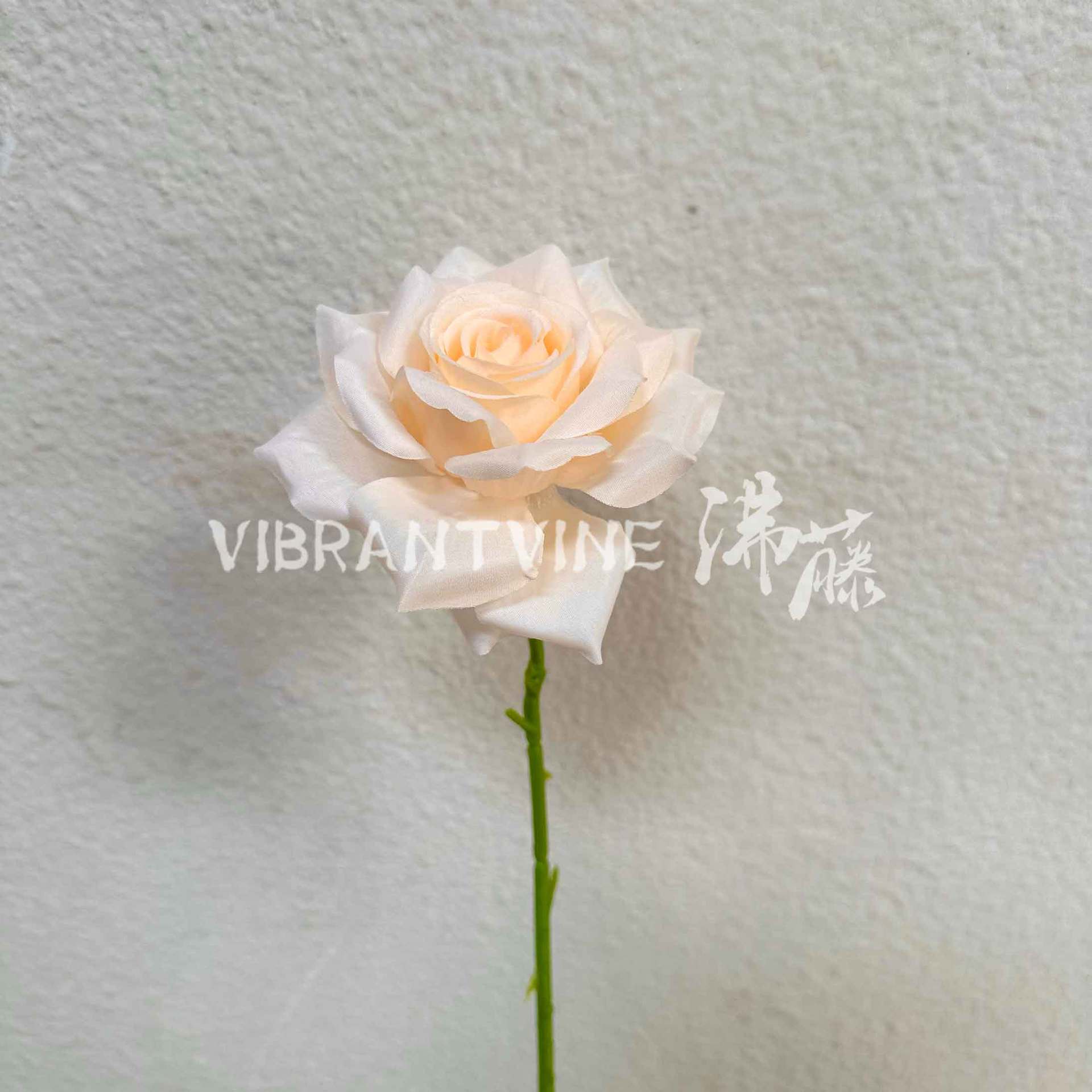 Champagne color