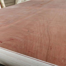 LVLľNҾ߰ȼһоzϰSlϘ|h