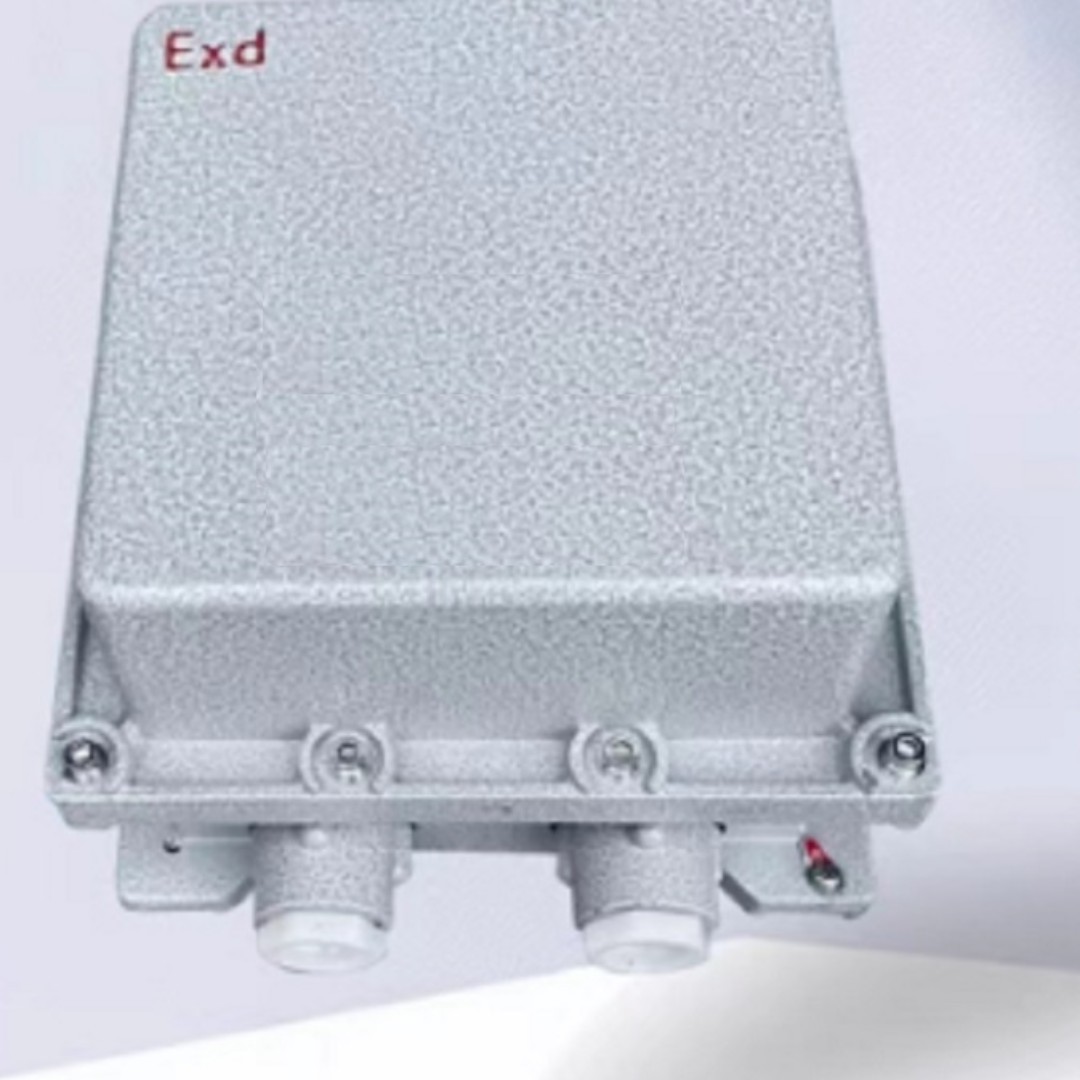 防爆室内型温湿度合一监测 型号 K-600库号  M308124