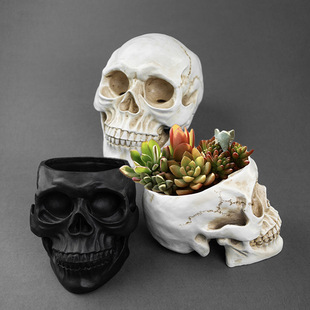 Resin Crafts Skull Skull Model Teaching Supplies Skull Animal Skull Halloween Props Masquerade