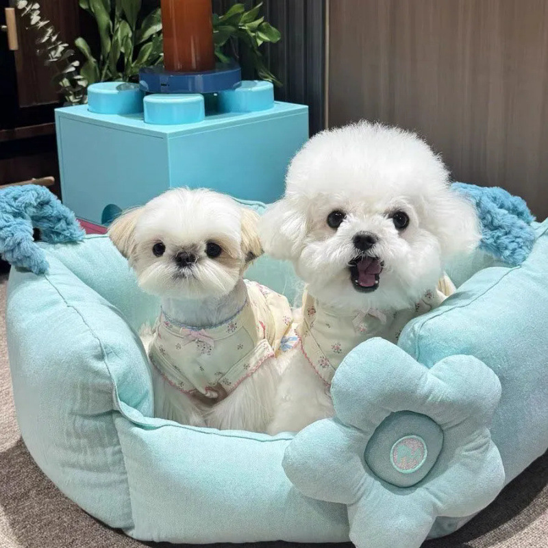 Primavera y verano dulces y lindos chalecos de flores, ropa para el hogar, perros, gatos, ropa para perros pequeños.