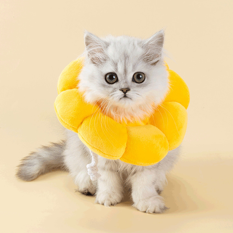 Gato Elizabeth anillo collar de flores de sol tela suave perro cubierta de cabeza anillo de vergüenza collar de cuello esterilización anti-lagrapatura collar