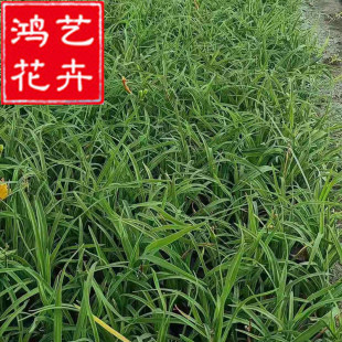 �����ͺ��ر��޸����ܽ���������� �ر��G�����ܳ��G���