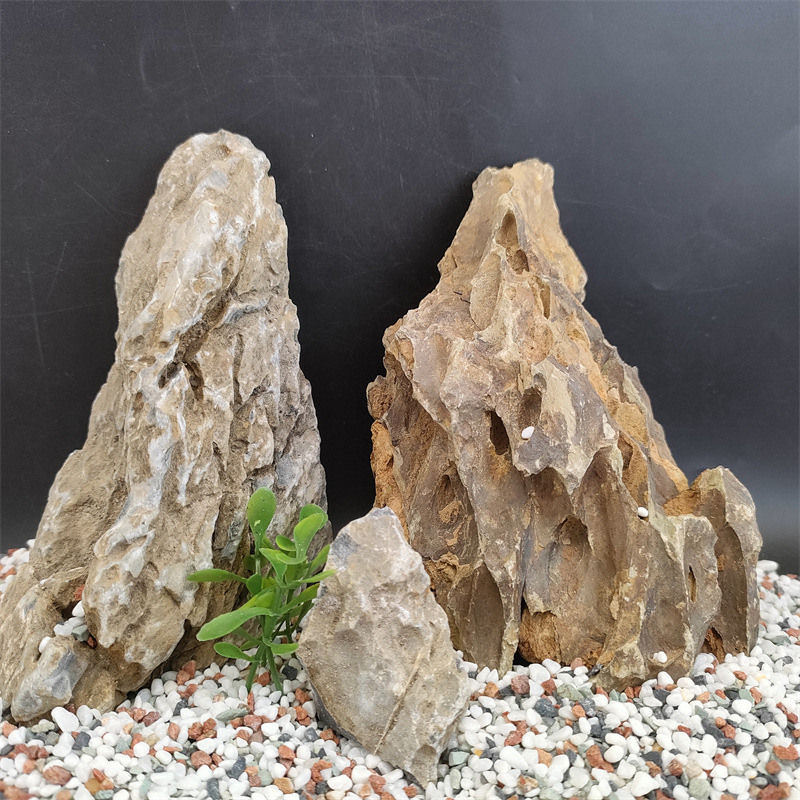 aquarium decor