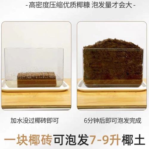 Bulk supply coconut brick organic nutrient soil for growing flowers vegetables and succulents compressed coconut powder brick coconut coir cultivation medium