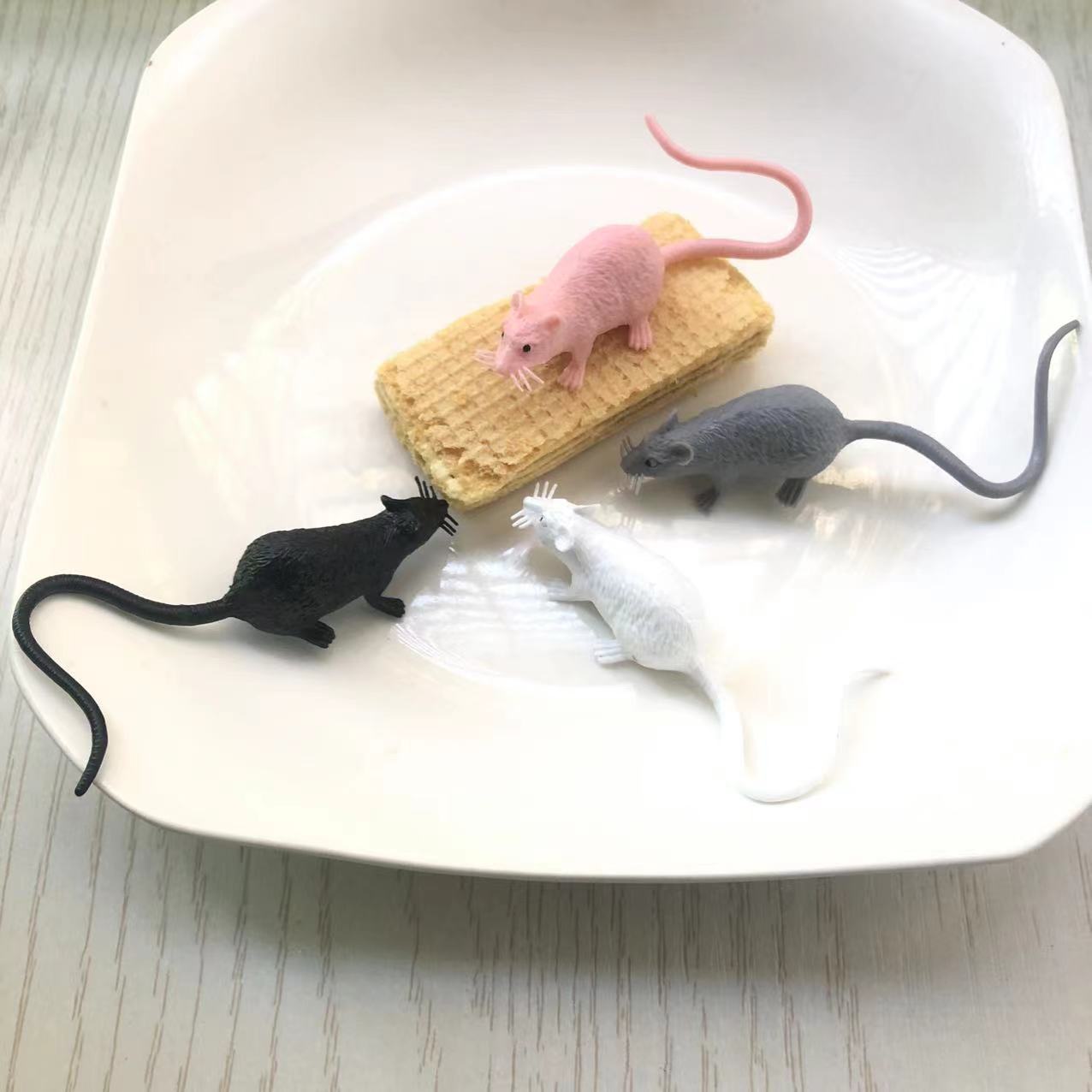 1c407efed9c3132c463a58103e36c5