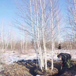 �ט兲���ט�ט����ꅲ���ט�С��@�^�G�����@�G��