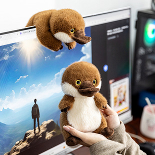 ��Ʒ6��8�����Ќ�����Fë�q���ץ�C���޿ɐے�����﹫����Ů��