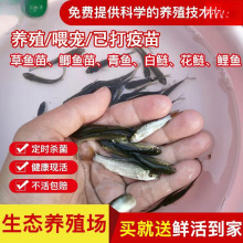 ι��������~С�~�Bֳ���~��ʳ��ϵ�ˮ�~���~���a�~�Bֳ