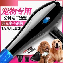 �������ﴵ�L�C���L���o����ë�Cؓ�x���o�l؈���əC�������l