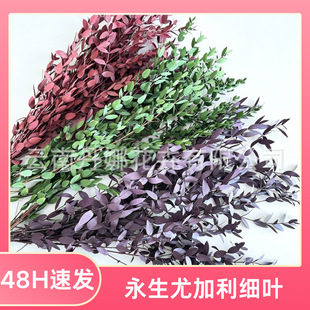 �����ȼ������~���~��֦�l��ɫDIY���ļҾ��b�������������l