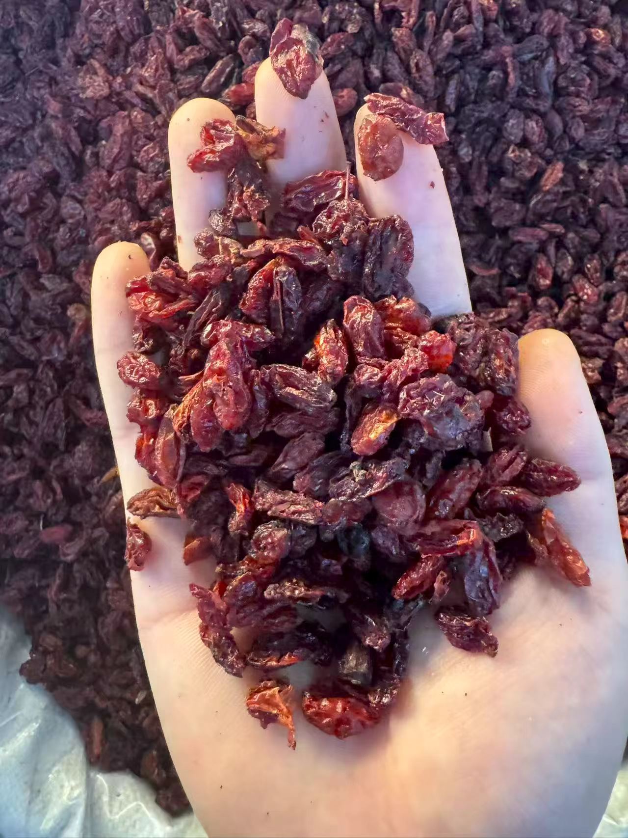 Dried Cornus Fruit Shan Zhu Yu 1000g Bag Traditional Chinese Herb for Tea and Decoction specifications