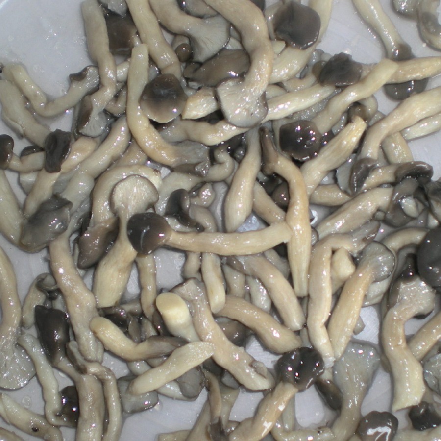 2024-04-23 18:12:58.jpg