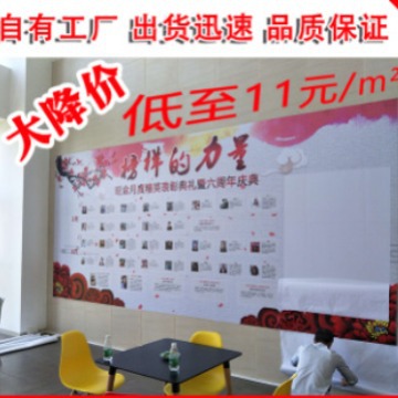 室内户外写真喷绘设计PP纸背胶可移广告加灯箱片KT板异形切割