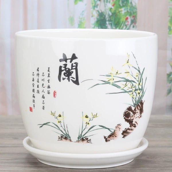 [82100-蘭]