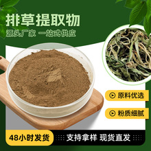 源头厂家喷雾干燥香排草提取物 含挥发油黄酮微量元素排草提取物