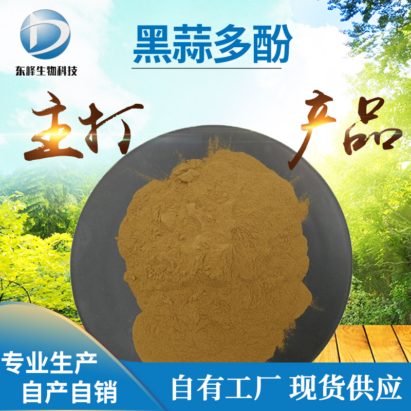 包邮1%黑蒜多酚 黑蒜提取物食品原料黑蒜浓缩粉量大优惠黑蒜多酚